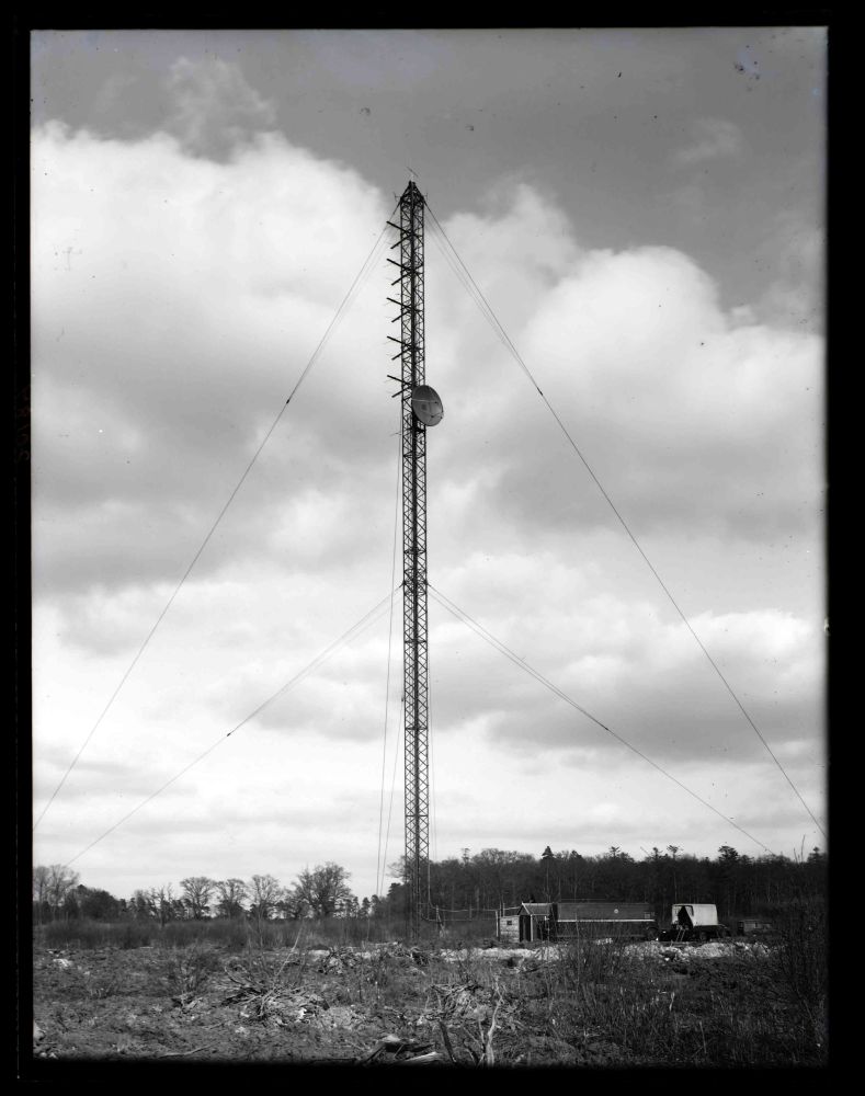 Tacolneston 1955