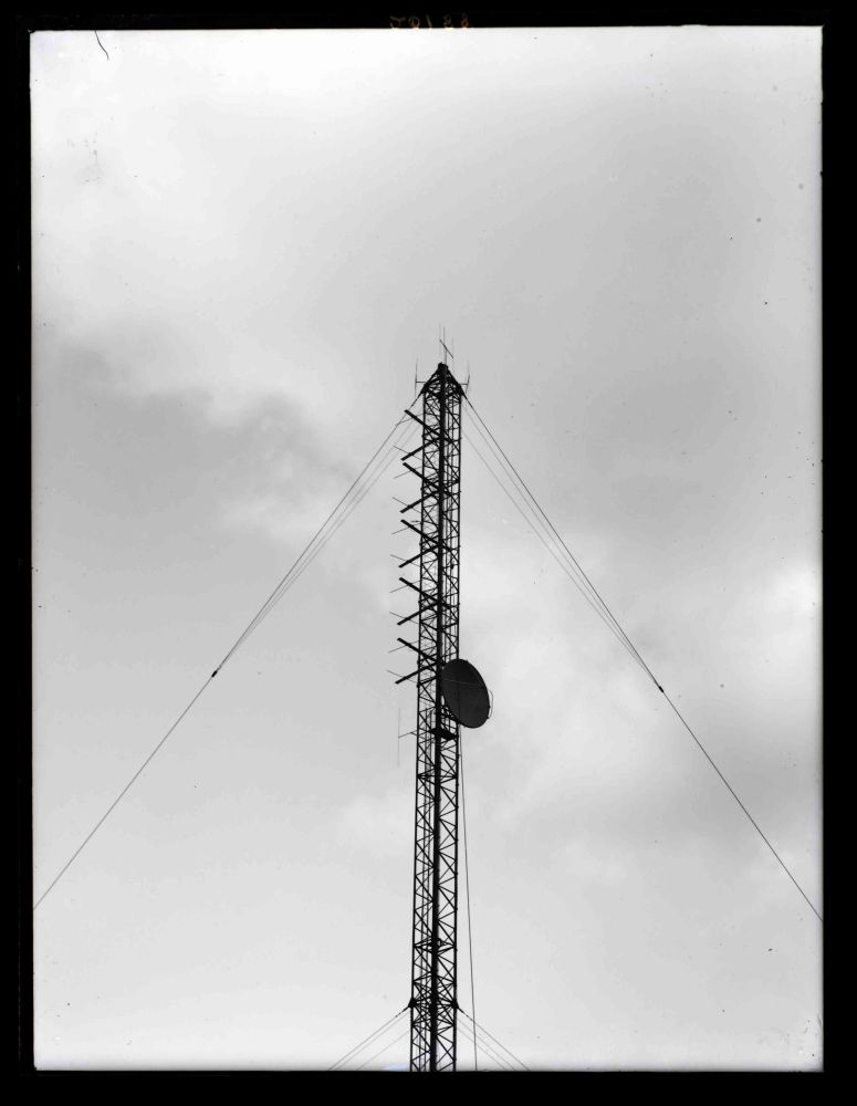 Tacolneston 1955