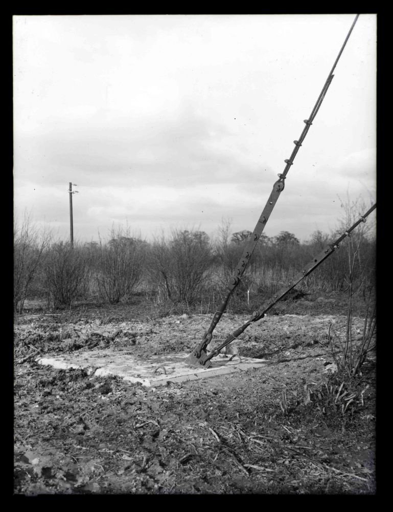 Tacolneston 1955