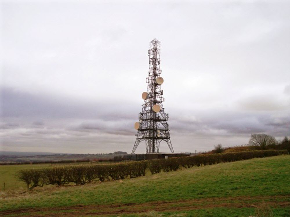 Pale Heights 2009